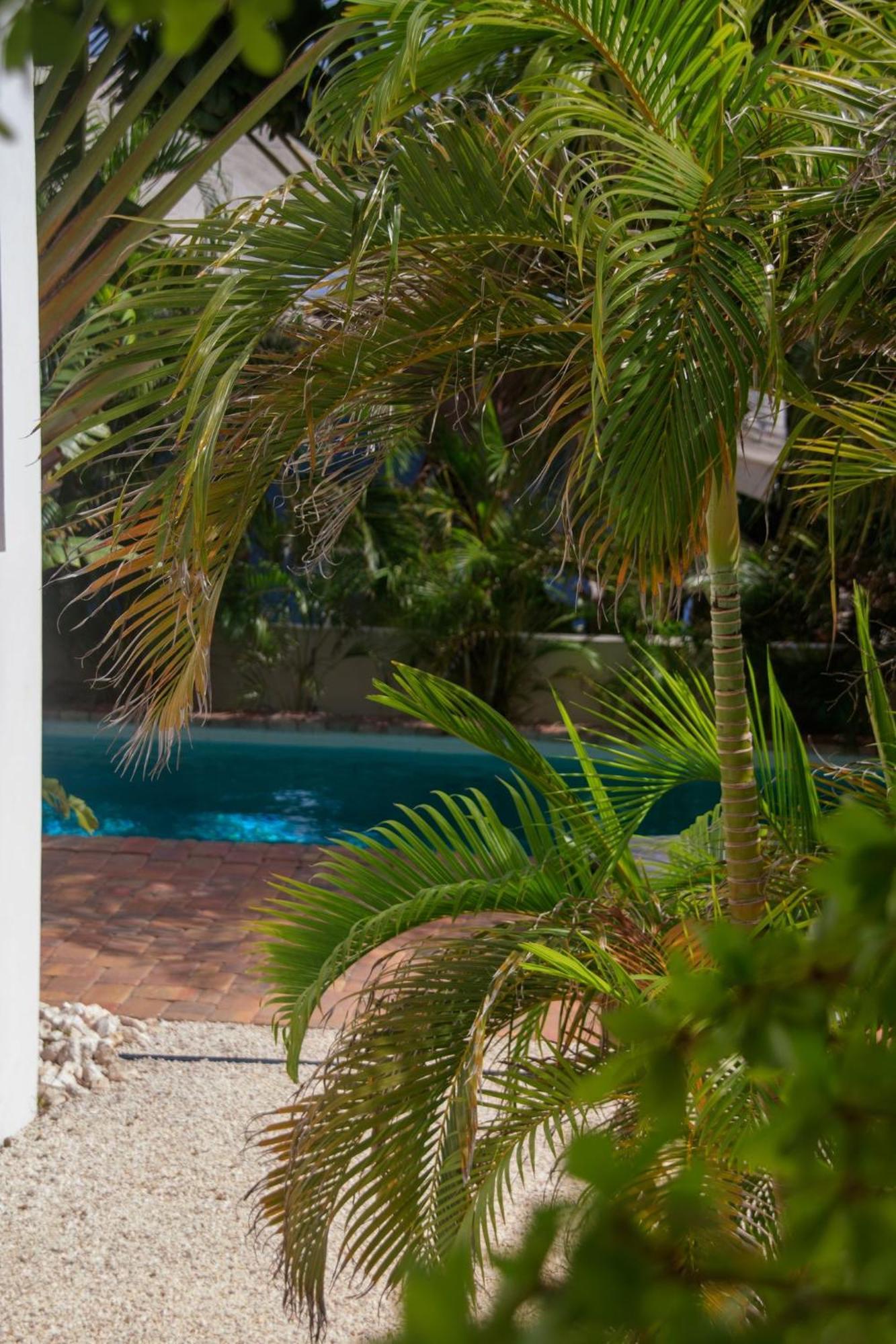 Major. Suites Curacao Willemstad Eksteriør billede